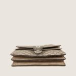 small-dionysus-shoulder-bag-affordable-luxury-826442-1