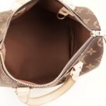 speedy-25-handbag-affordable-luxury-692066-1