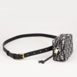 mini-belt-pouch-affordable-luxury-285258-1