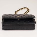 wallet-on-chain-affordable-luxury-395568