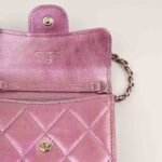 clutch-with-chain-affordable-luxury-305166-1