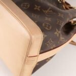 noe-bb-shoulder-bag-affordable-luxury-590619-1