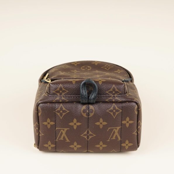 Palm Springs Mini Backpack - LOUIS VUITTON - Affordable Luxury