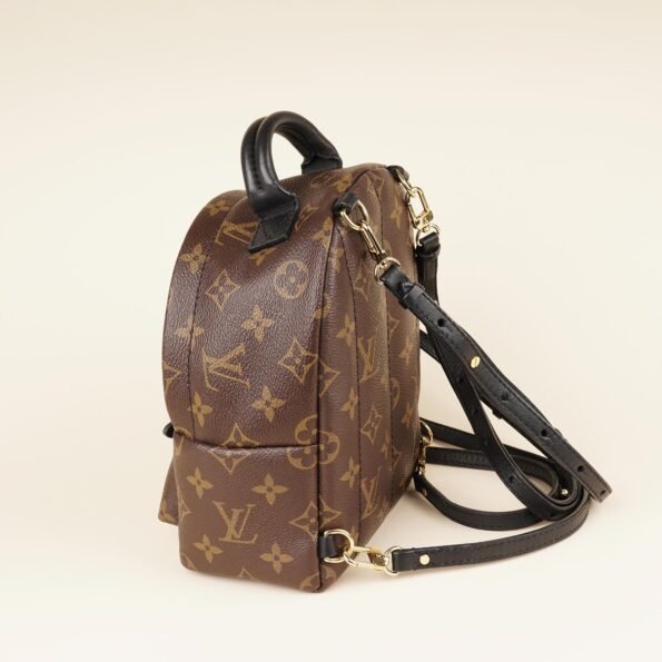 Palm Springs Mini Backpack - LOUIS VUITTON - Affordable Luxury