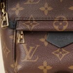 palm-springs-mini-backpack-affordable-luxury-903724-1