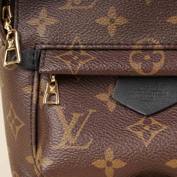 Palm Springs Mini Backpack - LOUIS VUITTON - Affordable Luxury