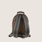 palm-springs-pm-backpack-affordable-luxury-445984-1