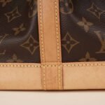 petit-noe-shoulder-bag-affordable-luxury-383464-1