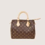 speedy-25-handbag-affordable-luxury-692066-1