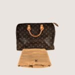 speedy-30-handbag-affordable-luxury-443664-1