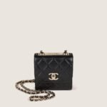 trendy-clutch-on-chain-affordable-luxury-217547-2