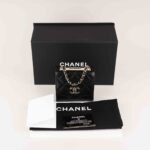 trendy-clutch-on-chain-affordable-luxury-217547-2