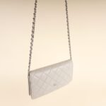 wallet-on-chain-affordable-luxury-455640-1
