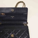 wallet-on-chain-affordable-luxury-536622-1